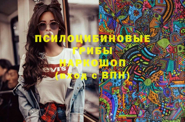 мдпв Пестово