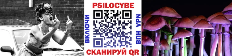 omg tor  Бологое  Псилоцибиновые грибы MAGIC MUSHROOMS 